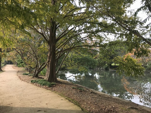 柳川遊歩道