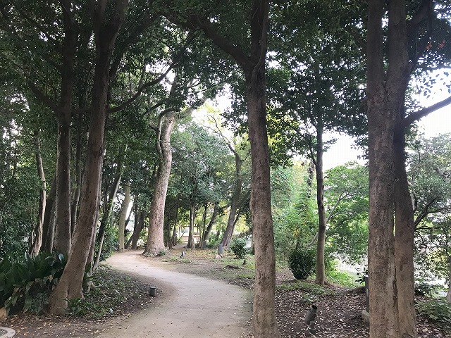 柳川遊歩道