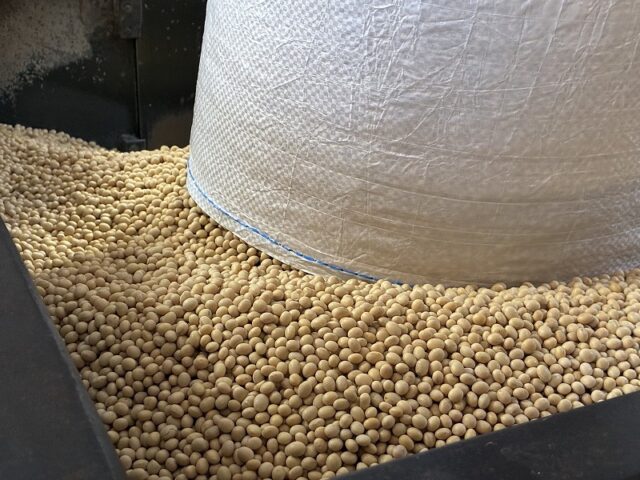 鶴味噌
